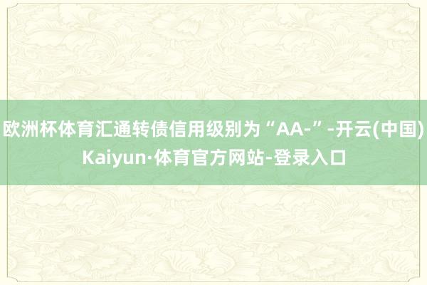 欧洲杯体育汇通转债信用级别为“AA-”-开云(中国)Kaiyun·体育官方网站-登录入口