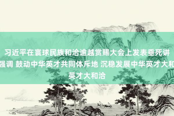 习近平在寰球民族和洽逾越赏赐大会上发表垂死讲话强调 鼓动中华英才共同体斥地 沉稳发展中华英才大和洽