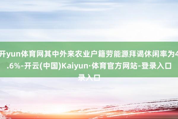 开yun体育网其中外来农业户籍劳能源拜谒休闲率为4.6%-开云(中国)Kaiyun·体育官方网站-登录入口