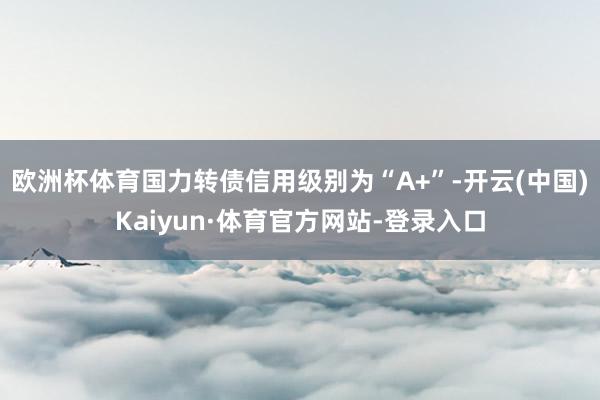 欧洲杯体育国力转债信用级别为“A+”-开云(中国)Kaiyun·体育官方网站-登录入口